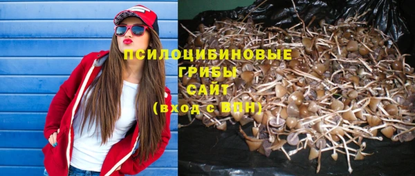 mdpv Алзамай