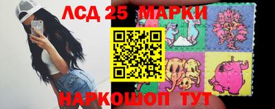 прущие грибы Комсомольск-на-Амуре