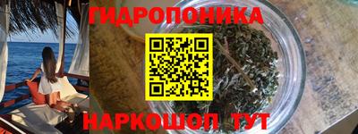 прущие грибы Комсомольск-на-Амуре