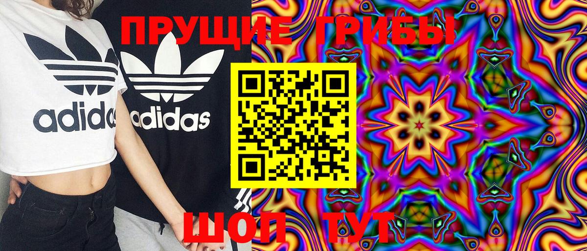 Галлюциногенные грибы Magic Shrooms  Вход с VPN  Ковров 